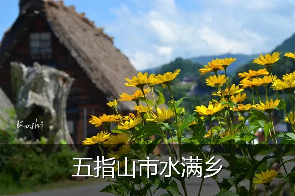 五指山市水满乡